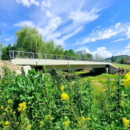 Modernizare si Reabilitare Pod Localitatea Vlaha DJ107M, Jud. Cluj